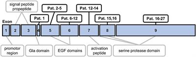 PC Deficiency Testing: Thrombin-Thrombomodulin as PC Activator and Aptamer-Based Enzyme Capturing Increase Diagnostic Accuracy